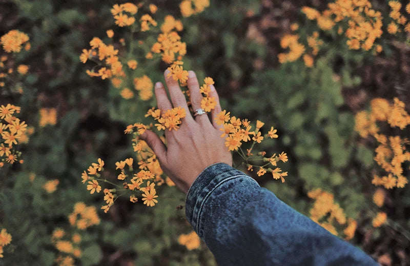 En Que Mano Van Los Anillos De Matrimonio